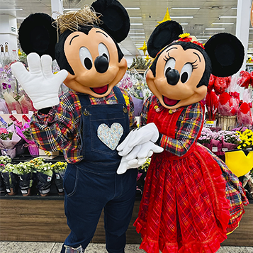 Central Eventos